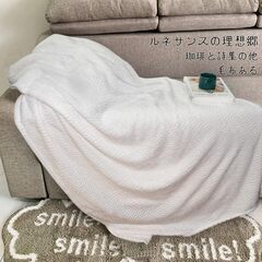 毛布 ひざ掛け ブランケット 大判 羽織 あったか ふわふわ 柔らかい マイクロファイバー 丸洗いOK 抗菌防臭 防ダニ加工 　転売OK　倒産品　まとめ売り　ネット商材　アマゾン引き上げ商品　メルカリ　副業の画像