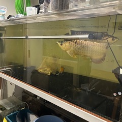 1600アクリル水槽の画像