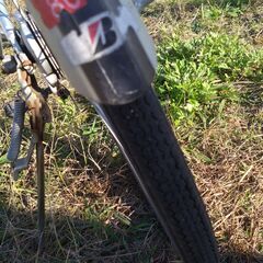 BRIDGESTONE Albelt ブリジストン アルベルト シルバー 3速 内装3段変速の画像