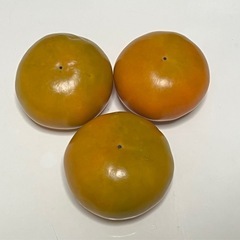柿の画像