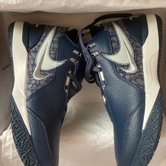 本日購入で値下げします！！　新品未使用ナイキ　ズームレブロン　ネクストジェン　26.5cm ネイビーの画像