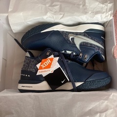 本日購入で値下げします！！　新品未使用ナイキ　ズームレブロン　ネクストジェン　26.5cm ネイビーの画像