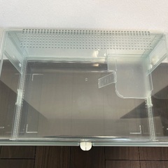 GEX グラスハーモニー 600 ブカスター　回し車　ハムスター　ケージの画像