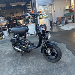 スズキチョイノリSS  訳あり
の画像