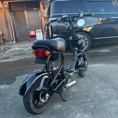 スズキチョイノリSS  訳あり
の画像