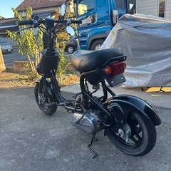 スズキチョイノリSS  訳あり
の画像