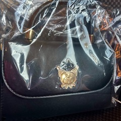 クロミ バッグ サンリオの画像