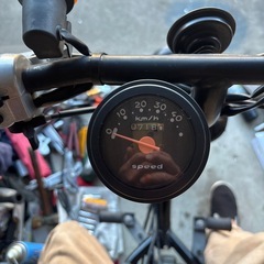 スズキチョイノリSS  訳あり
の画像