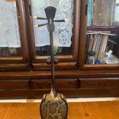 沖縄三線　八重山黒木ウジラミ
の画像