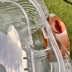 ハムスター飼育セットの画像