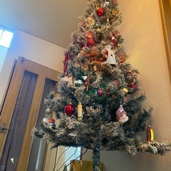 できれば本日❗️クリスマスツリー🌲の画像