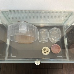 グラスハーモニー 600　ブカスター　回し車　ハムスター　飼育セットの画像