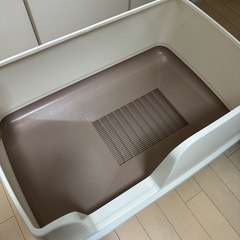 猫トイレの画像