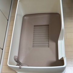 猫トイレの画像