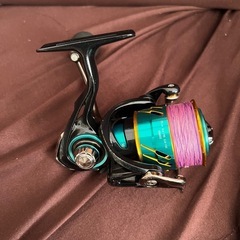 エメラルダス
の画像