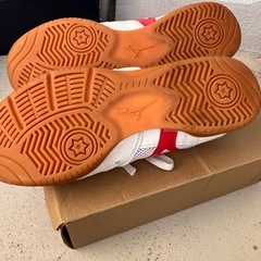 体育館シューズの画像