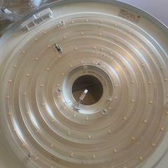 シーリングライトと電球ライトの花柄装飾の画像