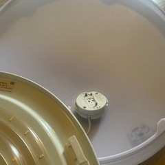 シーリングライトと電球ライトの花柄装飾の画像