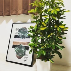 ※11/18終了します※✨お洒落✨デザインボード🖼️ サイズ:700×500×40mmの画像