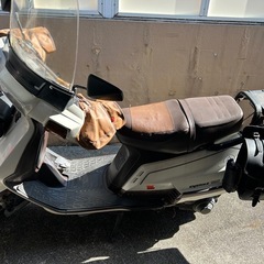 YAMAHA シグナス125 50Vの画像