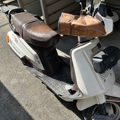 YAMAHA シグナス125 50Vの画像