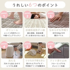 洗えるラグの画像