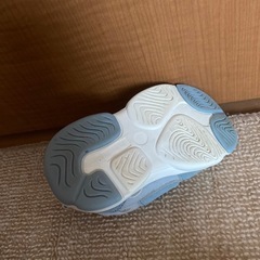 テータテート　13㎝　靴の画像