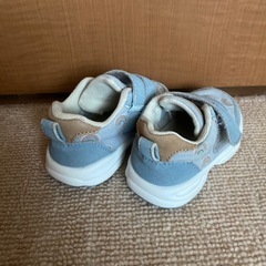 テータテート　13㎝　靴の画像