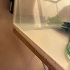 No.075 水槽　30リットル中古品の画像