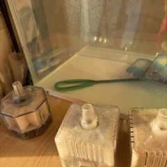 No.075 水槽　30リットル中古品の画像