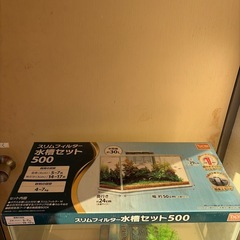 No.075 水槽　30リットル中古品の画像