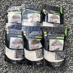 ハリネズミの砂の画像