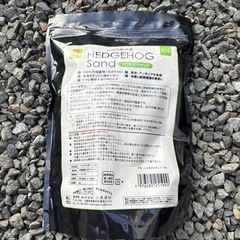 ハリネズミの砂の画像