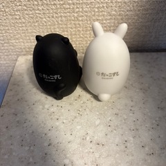 11月末処分予定○だっこずしの画像