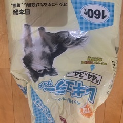 小型犬エサシートの画像