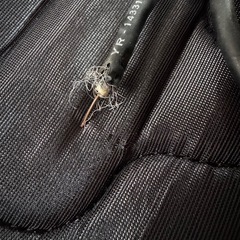 アンテナケーブル約15m（現状渡し）『定型文へは返信しません』の画像