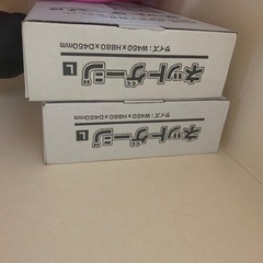 爬虫類ゲージ2箱の画像