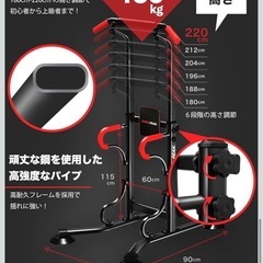 PYKES PEAK (パイクスピーク) ぶら下がり健康器 懸垂マシンの画像