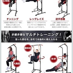 PYKES PEAK (パイクスピーク) ぶら下がり健康器 懸垂マシンの画像