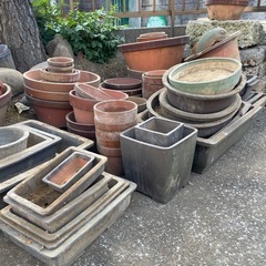 植木鉢　の画像