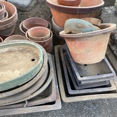 植木鉢　の画像