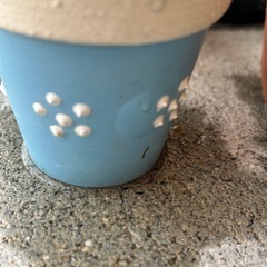 植物🪴色々10点セットの画像