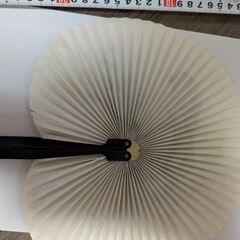 扇子？の画像