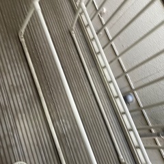 物干し竿の画像