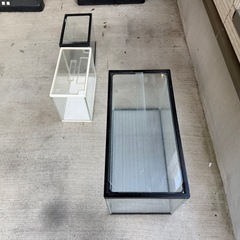 60センチ、30センチ水槽セットの画像