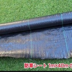 人工芝ロール新品+半端残り※半額セール対象外の画像