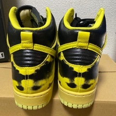 Nike Dunk Hi 1985 spの画像