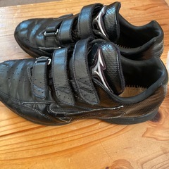 ミズノトレーニングシューズ23.5の画像