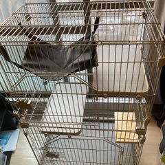 猫　3段ゲージの画像