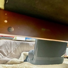 ニトリ　2人掛けソファの画像